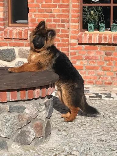 Siedlisko Na Gorce