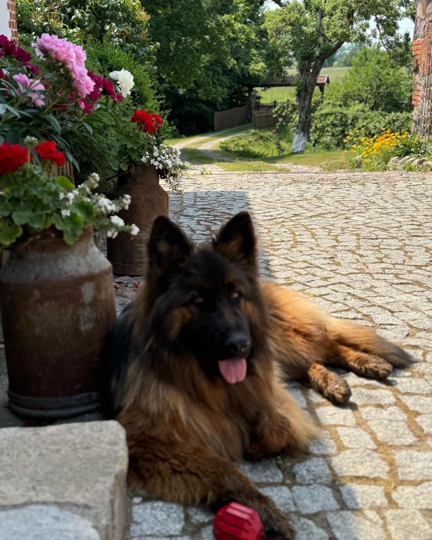 Holiday home Siedlisko Na Gorce *