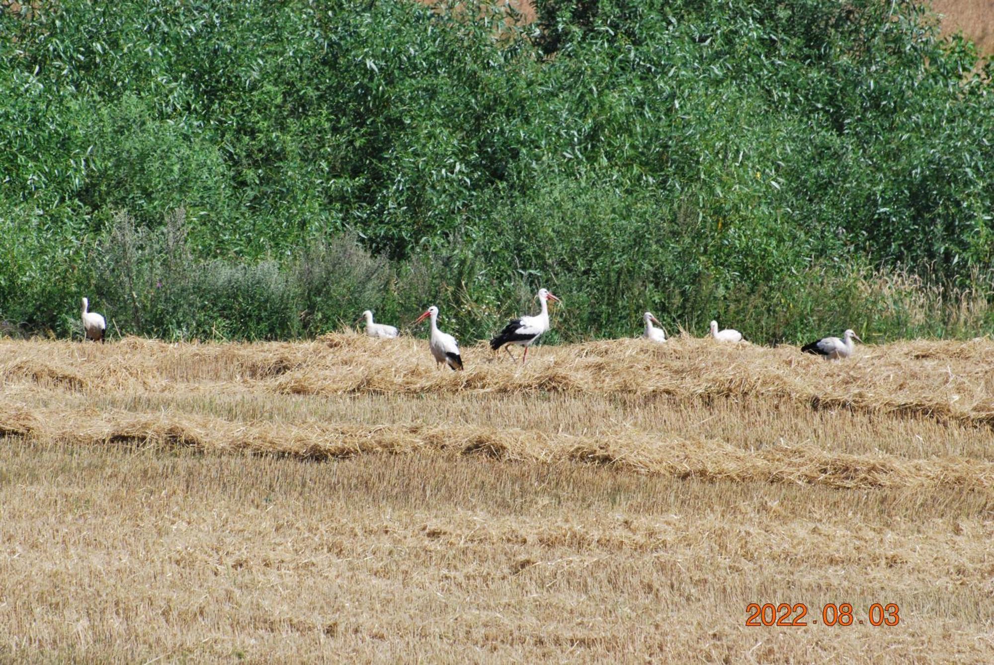 Siedlisko Na Gorce Zalec