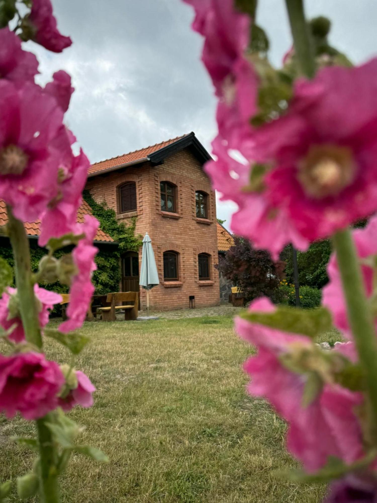 Siedlisko Na Gorce Zalec